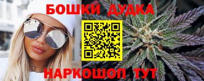 СК Лесосибирск