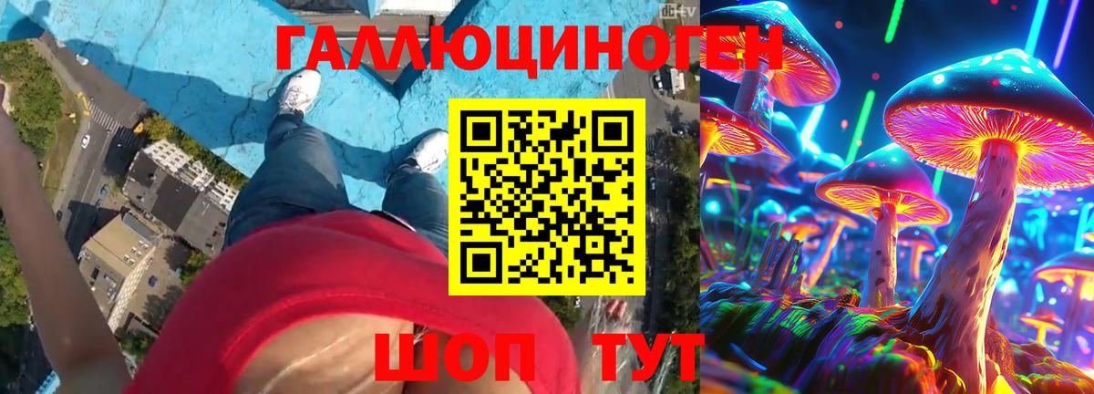 Галлюциногенные грибы Psilocybe Джанкой